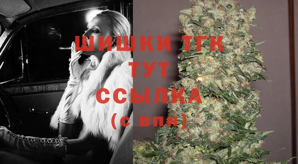 гашик Покачи